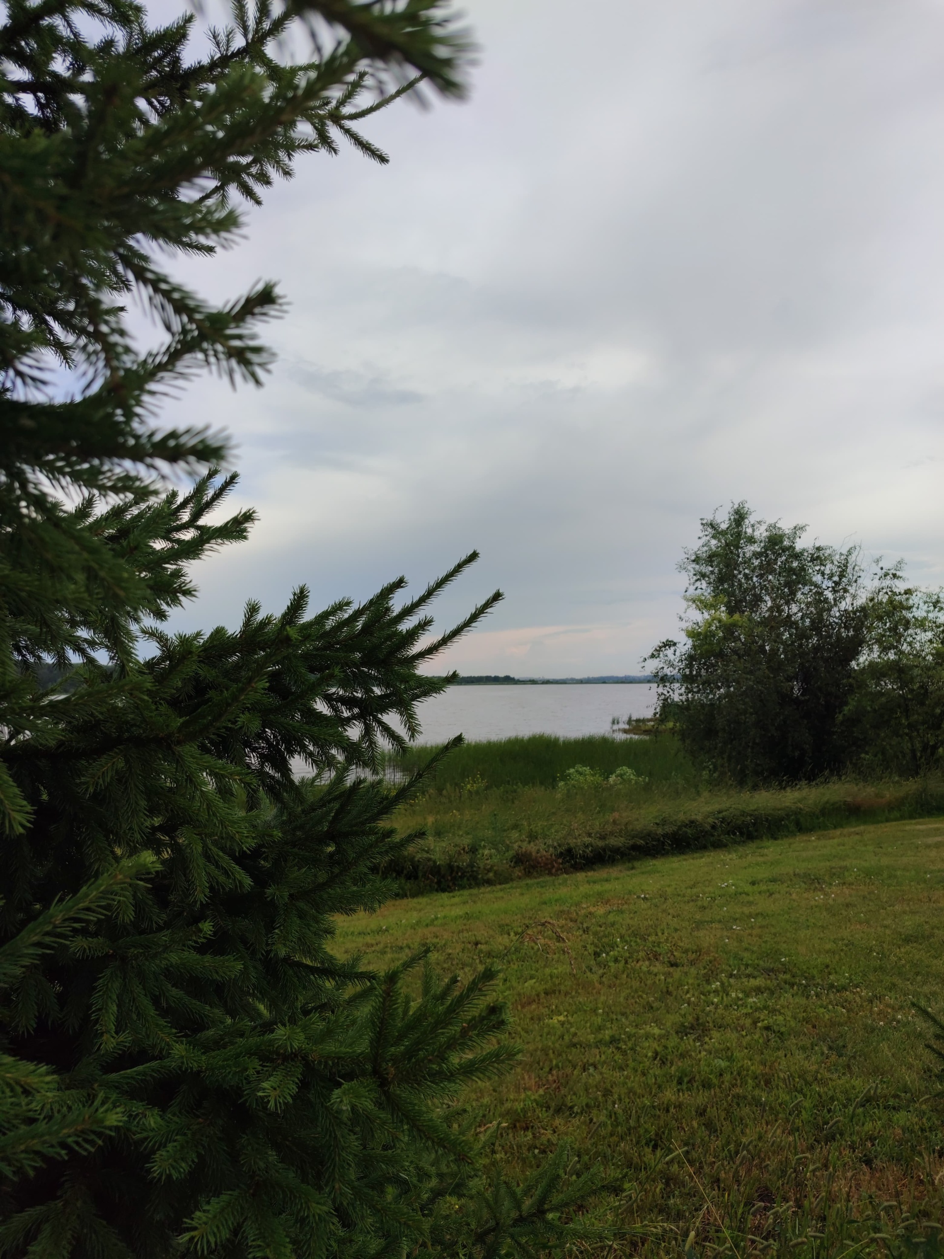 Новосібірдегі африкалық жезөкшелер