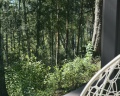 Lipki house: отзыв от Екатерина К