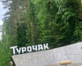 Ель Комфорт: отзыв от Светлана Смолова