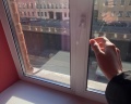 Laika: отзыв от Дарья Рыкова