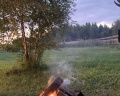 Лес и Небо: отзыв от Александра Котте