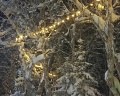 Фламинго: отзыв от Виктория Шелепова