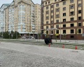 Cosmos Omsk Hotel: отзыв от Наталья Г