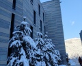 Skypark: отзыв от Виктория К