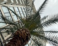 Изумруд: отзыв от Наталья
