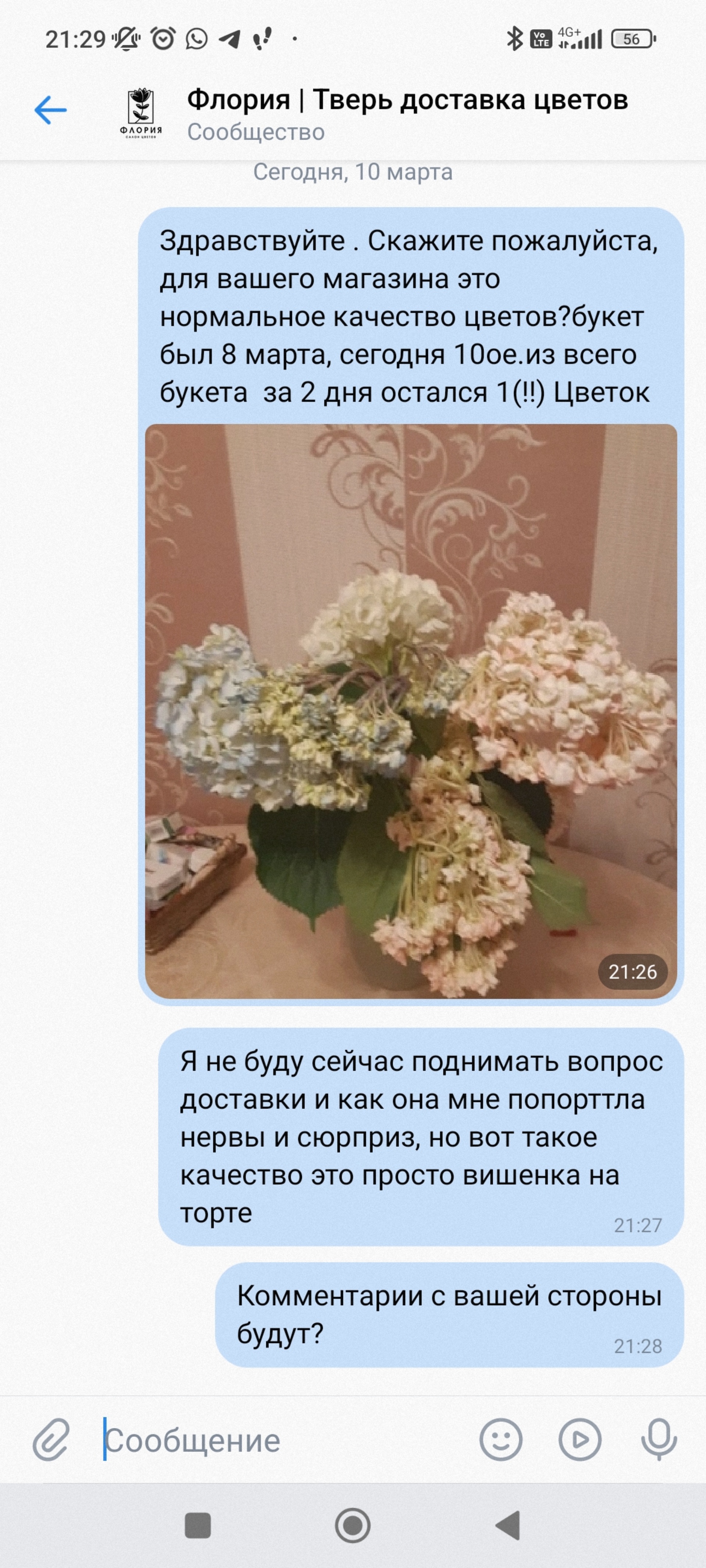 Флория, цветочная база, проспект Ленина, 43а, Тверь — 2ГИС