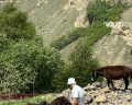 Сахават: отзыв от Регина Харченкова
