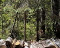 Village Hvoya: отзыв от Дарья Ускова