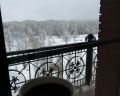 Яр: отзыв от Татьяна Киселева