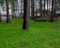 Млечный путь: отзыв от Ольга Киндеркнехт