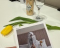 Divs hotel: отзыв от Аня Горлова