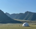 Brosko Terra: отзыв от Катерина Шойко