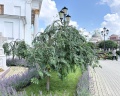 Храм иконы Божией Матери: отзыв от Марина Вавилова