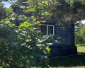 Sokolki village: отзыв от Дарья Барсукова
