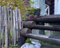 Урочище Сайкол: отзыв от Яна С