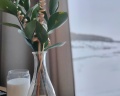 JustWood hotel: отзыв от Полина Поливанова