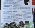Azimut: отзыв от Мария Иноземцева