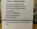 Green hosta: отзыв от Андрей Гулевич