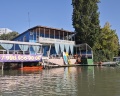 Лотос: отзыв от Rus _photo23
