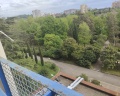 Дельфин: отзыв от В.А. Кристальная
