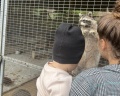 Фазенда: отзыв от Городской житель