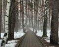 Ян: отзыв от Автосвет Альметьевск