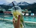 Country Hills Resort: отзыв от Галина Абдрашитова