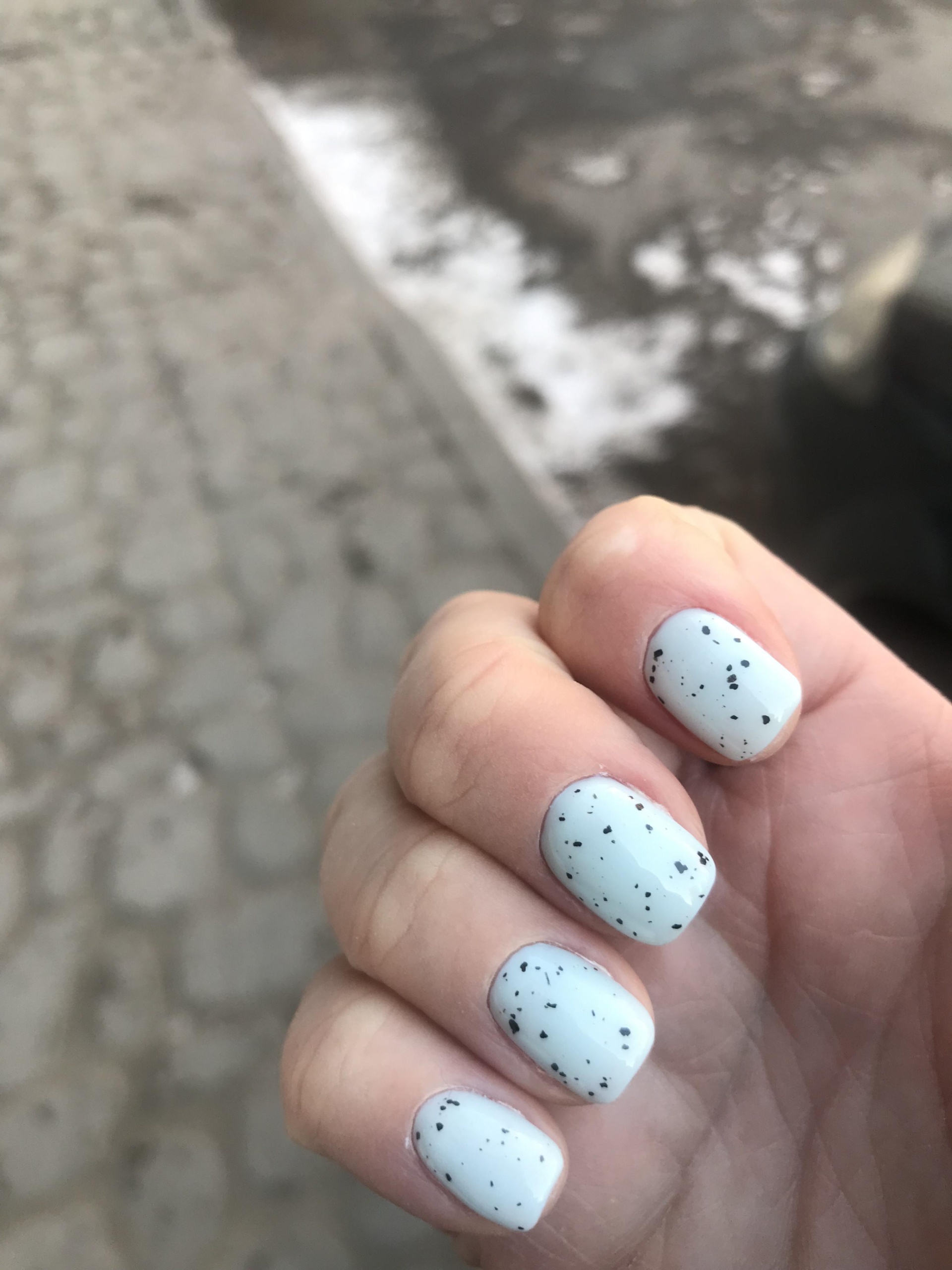 Nail pixies, ногтевая студия, Фермское шоссе, 22 к3, Санкт-Петербург — 2ГИС