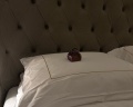 Wawelberg Hotel St.Petersburg: отзыв от Полина Краскова