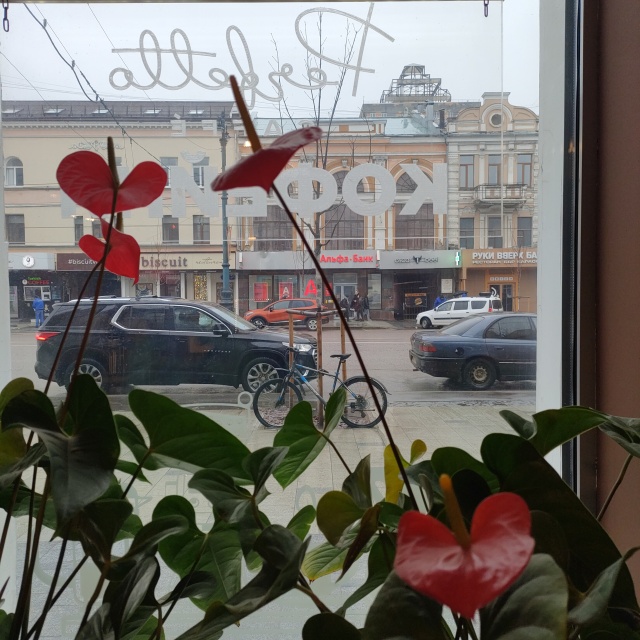 Туча в ростове на дону. Волнообразные облака кельвина-гельмгольца. Форест воронеж ресторан. Облака воронеж проспект. Жар пицца, воронеж, проспект революции.