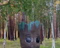 Курма: отзыв от Ksy