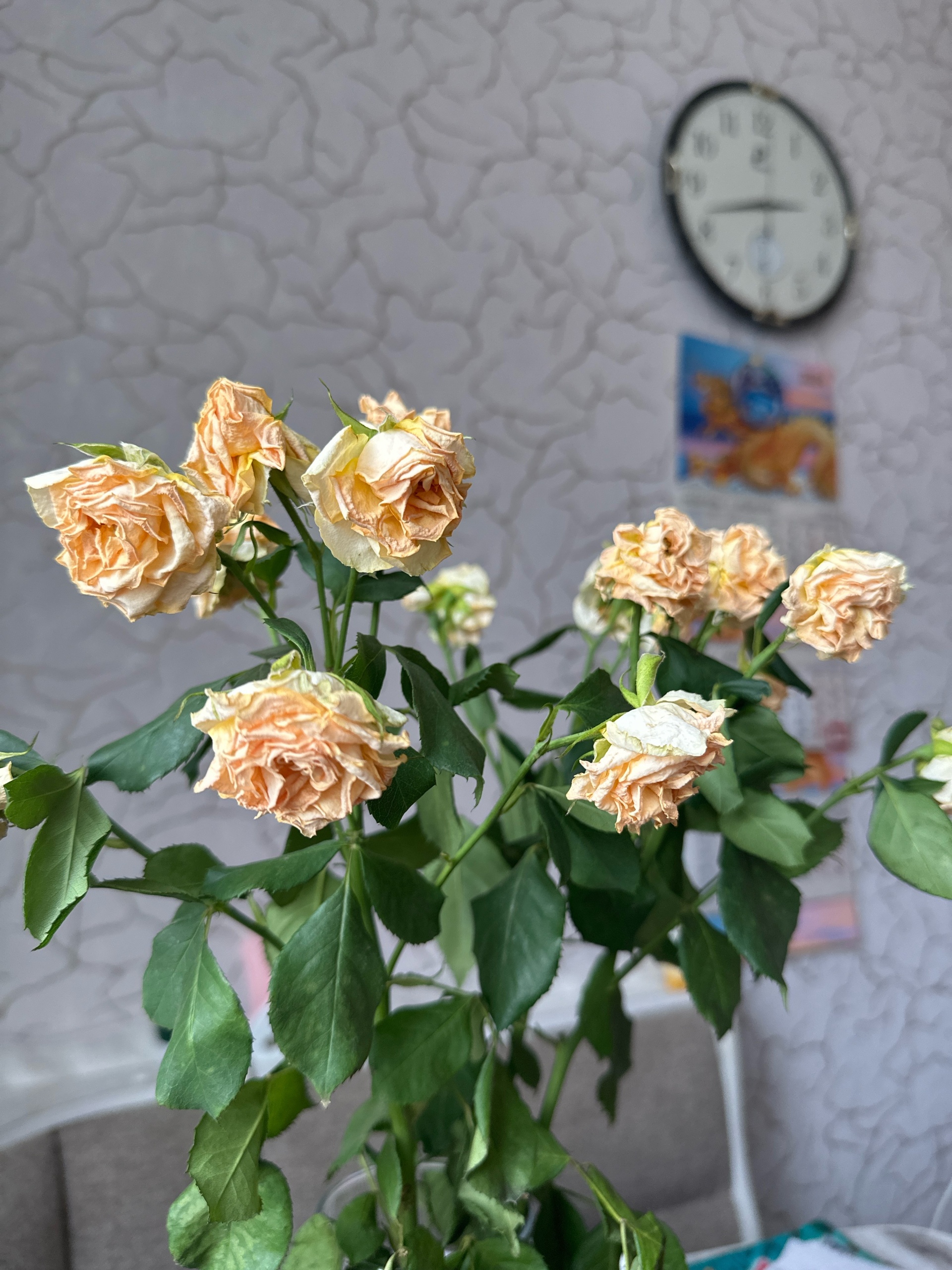 Florist, магазин живых цветов, Киевская, 34, Новокуйбышевск — 2ГИС