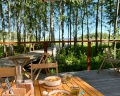 Мох: отзыв от Kseniya