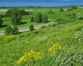 Plesheevo Hills: отзыв от Natalia Stepacheva