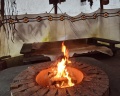Типи Юкки: отзыв от Мария Курбатова