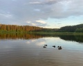 Яльчик: отзыв от An .