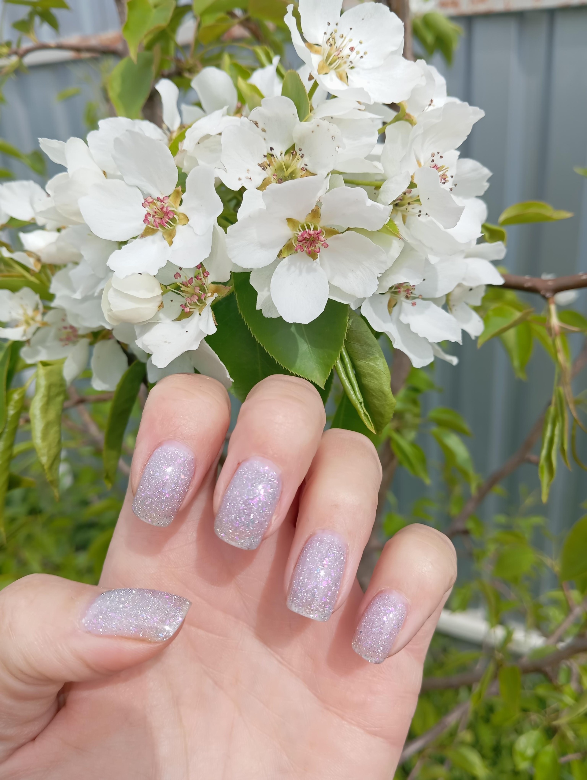 Nails, студия маникюра и педикюра в 4 руки, проспект Кирова, 5а, Томск —  2ГИС