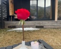 Альпака: отзыв от Мария Липатникова
