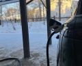 Екатеринин Двор: отзыв от Павел Марчук