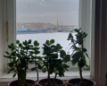 Музей-квартира А. И. Куинджи: отзыв от Оксана Звездная