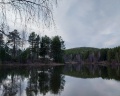 Сила леса: отзыв от Ирина Самойлова