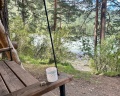Петроглифы: отзыв от Светлана Селиванова