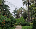 Sunny Sochi Hostel: отзыв от Евгения Капустникова