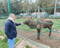 Романов Лес: отзыв от Анна Зимина