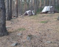 Мысли: отзыв от Марта Горовая