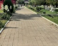 Пляжный поселок: отзыв от Дмитрий Подберёзный