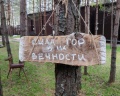 Сила Алтая: отзыв от Ирина Кузнецова