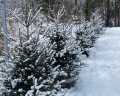 Loft №12: отзыв от Ирина Лазутина
