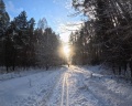 Снежок: отзыв от Елена Сабирова