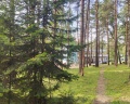Журавель: отзыв от Автор скрыл имя